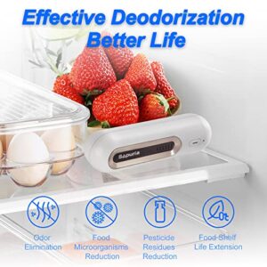 Refrigerator Deodorizer Portable Fridge Deodorizer Mini Odor Eliminator for Refrigerators, Shoe Cabinet, Wardrobe, Car, Pet Home