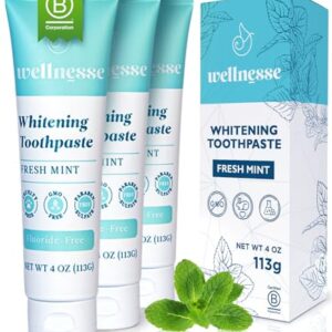 Wellnesse Whitening Toothpaste - Teeth Whitening Fluoride Free Natural Toothpaste - Fresh Mint - 3 Tubes, 4 oz - Made with Hydroxyapatite Powder, Green Tea Powder, and Aloe Vera