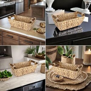 ADO Basics Water Hyacinth Hand Woven Basket with Stain Resistant Polished Wooden Handles, Storage Wicker Baskets 12" Length, 6.29" Width, 4.25 Height, Set of 2