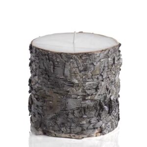 Zodax | Dark Birchwood | Pillar Candle | Fragrance Free | 4 in x 4 in