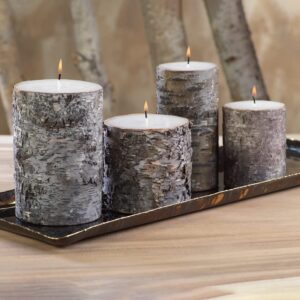 Zodax | Dark Birchwood | Pillar Candle | Fragrance Free | 4 in x 4 in