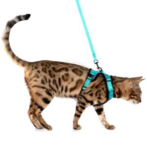 mewo cat harness and leash - escape proof, soft, comfortable, reflective, & adjustable, for a safe & snug fit (aqua marine, small)