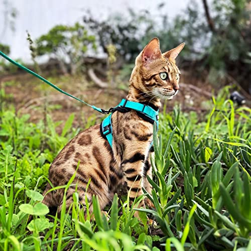 Mewo Cat Harness and Leash - Escape Proof, Soft, Comfortable, Reflective, & Adjustable, for a Safe & Snug Fit (Aqua Marine, Small)