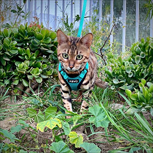 Mewo Cat Harness and Leash - Escape Proof, Soft, Comfortable, Reflective, & Adjustable, for a Safe & Snug Fit (Aqua Marine, Small)