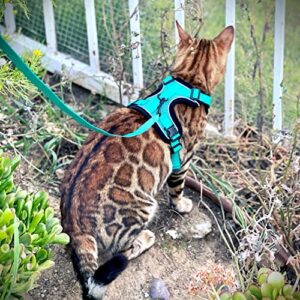 Mewo Cat Harness and Leash - Escape Proof, Soft, Comfortable, Reflective, & Adjustable, for a Safe & Snug Fit (Aqua Marine, Small)