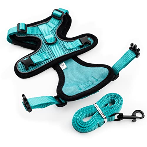 Mewo Cat Harness and Leash - Escape Proof, Soft, Comfortable, Reflective, & Adjustable, for a Safe & Snug Fit (Aqua Marine, Small)