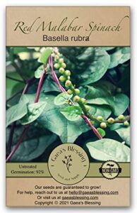 gaea's blessing seeds - red malabar spinach seeds - non-gmo seeds with easy to follow planting instructions - heirloom red stemmed malabar - 93% germination rate