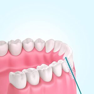Cowwell Interdental Brush Teeth Soft Dental Picks Tooth Floss Interdental Brush Betweens Interdental Brush Refills White Refills for Tooth Cleaning (Middle, 60 Pieces)