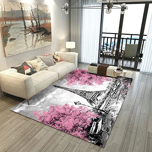 Paris Eiffel Tower Area Rug Large Pink Floral French Style Carpets for Bedroom Living Room Door Mat 79 in x 39 in Girls Gift Home Decor Non-Slip Crystal Velvet Floor Polyester Mat