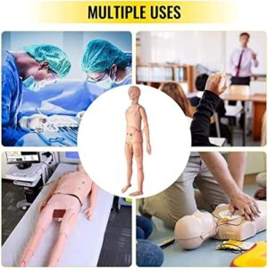 Basic Geriatric Nursing Skills Training Manikin, Geriatric Patient Care Skills Mannequin with Interchangeable Genitals and Trauma Modules for Nursing Medical Training Teaching Medical