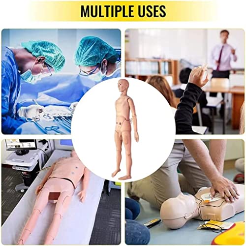 Basic Geriatric Nursing Skills Training Manikin, Geriatric Patient Care Skills Mannequin with Interchangeable Genitals and Trauma Modules for Nursing Medical Training Teaching Medical