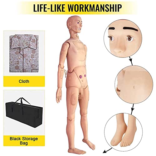 Basic Geriatric Nursing Skills Training Manikin, Geriatric Patient Care Skills Mannequin with Interchangeable Genitals and Trauma Modules for Nursing Medical Training Teaching Medical