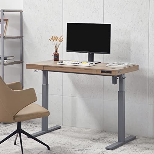 kowo Electric Height Adjustable Standing Desk with Drawer, 48" Home Office Wooden Computer Desk Ergonomic Memory Control Workstation Sit Stand Desk, Greige/Grey