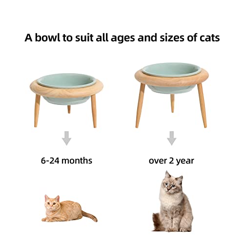 Havniva Ceramics Cat Bowl Adjustable Cat Food Bowl Kitty Bowl Raised Tilted Cat Bowl Cat Water Bowl Pet Supplies Slanted Elevated Cat Bowl (600ml, Light Green)