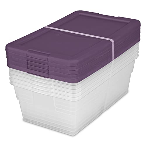 Sterilite Stackable 6 Quart Clear Home Storage Box with Handles and Purple Lid for Efficient, Space Saving Household Storage and Organization, 5 Pack