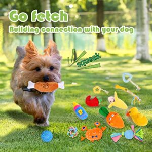 Squeaky Dog Toys for Puppy Small Dogs 18 Units Stuffed Toys with Rubber Toys in Bulk Plush Dog Toy Safe Fetch Chew Toys Pack for Chewing and Teething