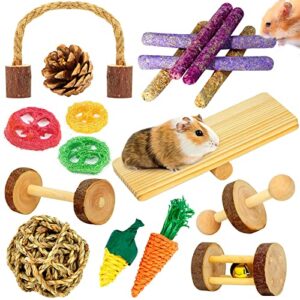 overtang hamster toys, guinea pig toys, 18 pcs wooden hamster toy set natural apple wood small animal chew molar toys for teeth for rabbit, chinchilla, gerbils, rats exercise accessories