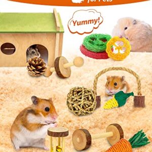 OVERTANG Hamster Toys, Guinea Pig Toys, 18 Pcs Wooden Hamster Toy Set Natural Apple Wood Small Animal Chew Molar Toys for Teeth for Rabbit, Chinchilla, Gerbils, Rats Exercise Accessories