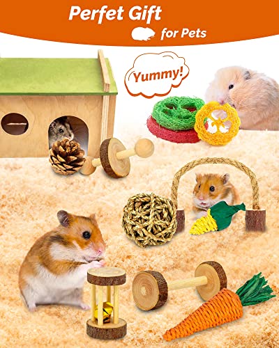 OVERTANG Hamster Toys, Guinea Pig Toys, 18 Pcs Wooden Hamster Toy Set Natural Apple Wood Small Animal Chew Molar Toys for Teeth for Rabbit, Chinchilla, Gerbils, Rats Exercise Accessories