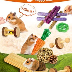 OVERTANG Hamster Toys, Guinea Pig Toys, 18 Pcs Wooden Hamster Toy Set Natural Apple Wood Small Animal Chew Molar Toys for Teeth for Rabbit, Chinchilla, Gerbils, Rats Exercise Accessories