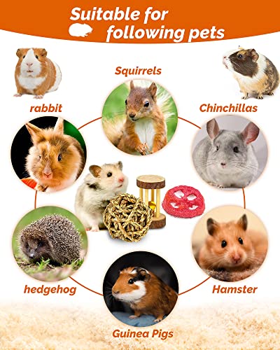 OVERTANG Hamster Toys, Guinea Pig Toys, 18 Pcs Wooden Hamster Toy Set Natural Apple Wood Small Animal Chew Molar Toys for Teeth for Rabbit, Chinchilla, Gerbils, Rats Exercise Accessories