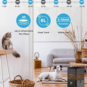 Voluas Automatic Cat Feeders for Two Cats, Double Pet Feeder with 2 Stainless Steel Bowls,6L Timed Cat Feeder with Memory Function, Pet Food Dish