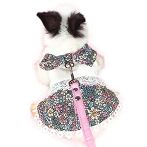 Anelekor Rabbit Lace Skirt with Bowknot Squirrel Harness and Leash Set Cat Princess Dress Small Animals Clothes Puppy Vest Walking for Dwarf Kitten Ferret Guinea Pig Mini Dog (Small)