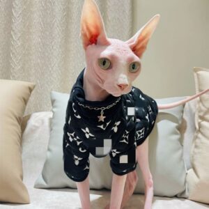 Sphynx Cat Clothes Breathable Pure Cotton Fashion Icon Cat Sweater Kitten Outfit with Sleeves for Sphynx Cornish Rex, Devon Rex, Peterbald (S, Black)