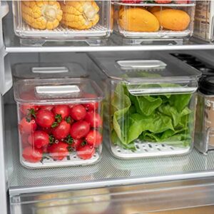 iPEGTOP Produce Saver Containers for Refrigerator, Food Fruit Vegetables storage, 3 Piece Stackable Fridge Freezer Organizer, Fresh Keeper Drawer Bin with Vented Lids & Removable Drain Tray