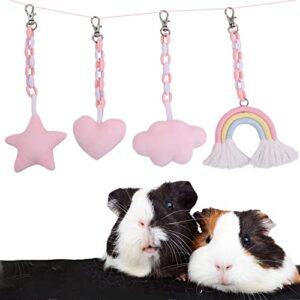 rozkitch 4pcs guinea pig hamster hanging toy, pink small animal case accessories kits, pet cage pendant, photo props for pet rat,ferret, guinea pig, squirrel, rabbits, mice and gerbil rainbow