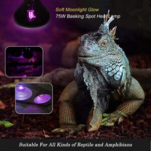 FIVEAGE 4 Pack Night Heat Lamp Reptile Bulb 75W, Moonlight Pet Light UVA Spot Lamp for Reptile and Amphibian Use - Bearded Dragon,Lizard Tortoise Spider Snake Chameleon