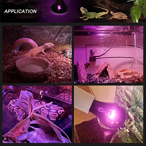 FIVEAGE 4 Pack Night Heat Lamp Reptile Bulb 75W, Moonlight Pet Light UVA Spot Lamp for Reptile and Amphibian Use - Bearded Dragon,Lizard Tortoise Spider Snake Chameleon