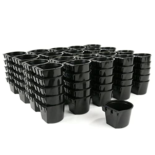 The ROP Shop | (Pack of 200) Black Cage Cups for Chicken, Dog, Pheasant, Rabbit Feed & Water