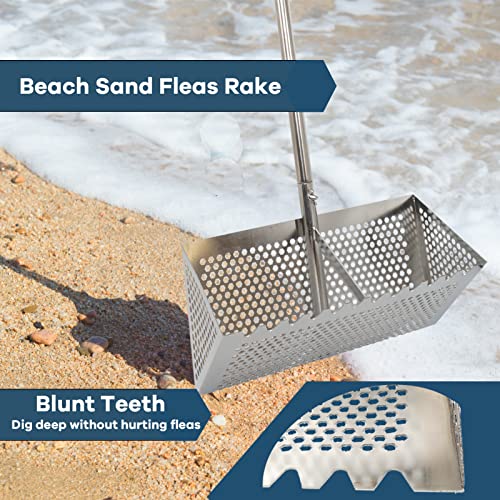 Sand Fleas Rake, Stainless Steel Sand Sifter, Detachable 47 Inches Long Handle, Collapsible Shark Tooth Sifter for Beach,Sand Crab Catcher with Foldable Pail .