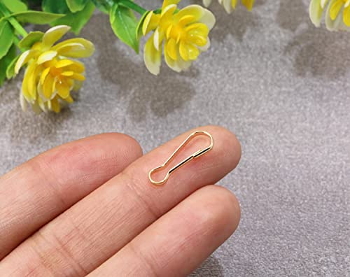 Mini Skater 0.63" Mini Metal Spring Hooks, Tiny Stainless Steel Lanyards Snap Clip Hooks, Keyring Accessory for Purse,Curtains,Jewelry Ring Craft and ID Card Key Chain Clip Parts(Light Gold, 200Pcs)