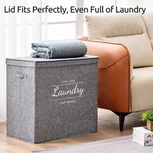 Fion'a magic Double Laundry Hamper with Lid and Removable Laundry Bags, 2 Divided Clothes Hamper, 125L Divider Dirty Clothes Basket with Handles for Bedroom, Laundry Room, Bathroom, Grey