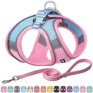 aiitle pet supply no pull, step in adjustable dog harness with padded vest for all weather, easy to put on small and medium dogs pink s