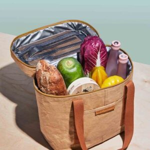 Insulated Travel Cooler Bag – Out of the Woods Walrus Cooler – Vegan Picnic Bag/Cooler Tote with Zippered Body & Front Pocket – Sustainable Soft Side Cooler Bag with Straps…