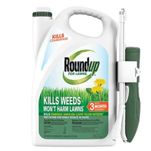 roundup for lawns₁ ready-to-use - tough weed killer for use on northern grasses, extended reach wand, 1.33 gal.