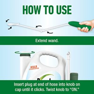 Roundup for Lawns₁ Ready-to-Use - Tough Weed Killer for Use On Northern Grasses, Extended Reach Wand, 1.33 gal.