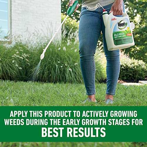 Roundup for Lawns₁ Ready-to-Use - Tough Weed Killer for Use On Northern Grasses, Extended Reach Wand, 1.33 gal.