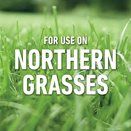 Roundup for Lawns₁ Ready-to-Use - Tough Weed Killer for Use On Northern Grasses, Extended Reach Wand, 1.33 gal.