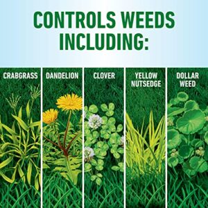 Roundup for Lawns₁ Ready-to-Use - Tough Weed Killer for Use On Northern Grasses, Extended Reach Wand, 1.33 gal.