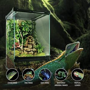 Reptile Tall Glass Terrarium, Vertical Tank Starter Kit, 8x8x12in Mini Front Open Door Cage, Full View Screen Habitat Ventilation Enclosure for Small Chameleon Snake Lizard Amphibians Geckos Frogs