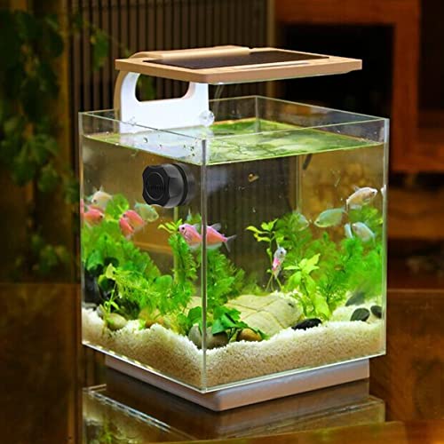 Newpol Mini Aquarium Algae Cleaning Magnet for Small Glass Fish Tank