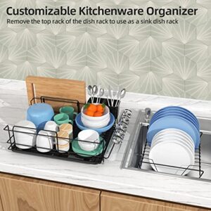 Buruis 2 Tier Dish Drying Rack with 2 Drainboard, Small Dish Rack with Cutting Board Cutlery Holder, Cup Rack, Compact Metal Dish Drainer Tray for Kitchen Counter Cabinet (Black)