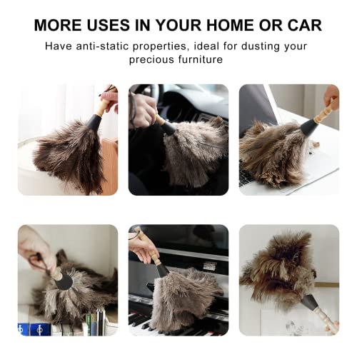 SetSail Feather Duster, Fluffy Natural Ostrich Feather Dusters for Cleaning with Wooden Handle Eco-Friendly Feather Duster Cleaning Supplies for Furniture, Car, Collectibles...