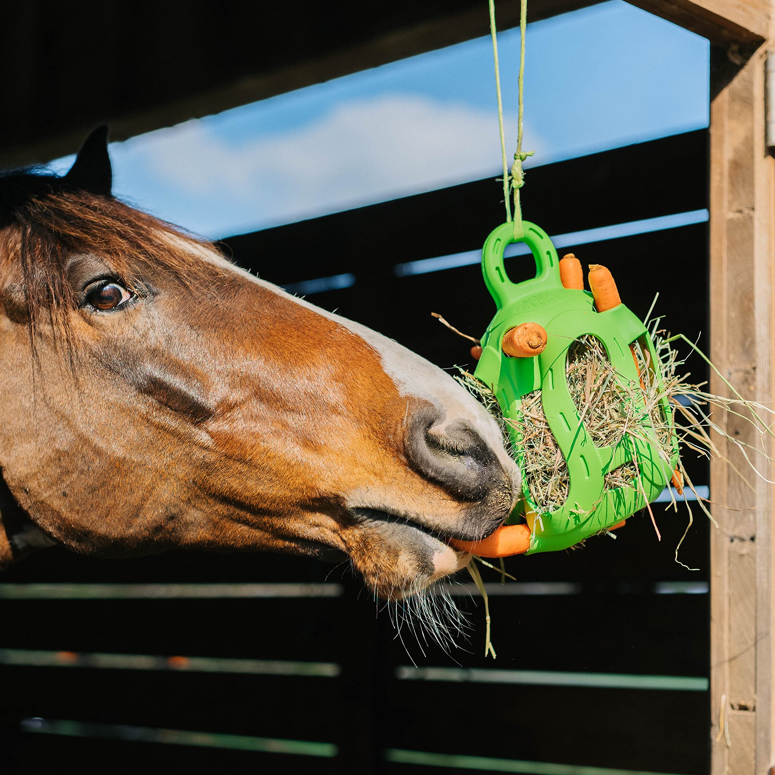 Horsemen's Pride Jolly Hay Ball Stall Toy for Horses, Green