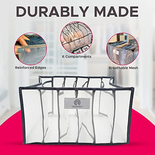 ORGANIDY Wardrobe Clothes Organizer for Underwear - Closet Organizers and Storage, Storage Drawers, and Organizer Bins - 6 Grids for Bras, Socks, and Jeans - 11.8" x 14.2" x 7.9", Clear Mesh 2-Pack