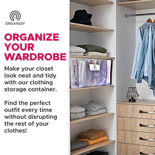 ORGANIDY Wardrobe Clothes Organizer for Underwear - Closet Organizers and Storage, Storage Drawers, and Organizer Bins - 6 Grids for Bras, Socks, and Jeans - 11.8" x 14.2" x 7.9", Clear Mesh 2-Pack